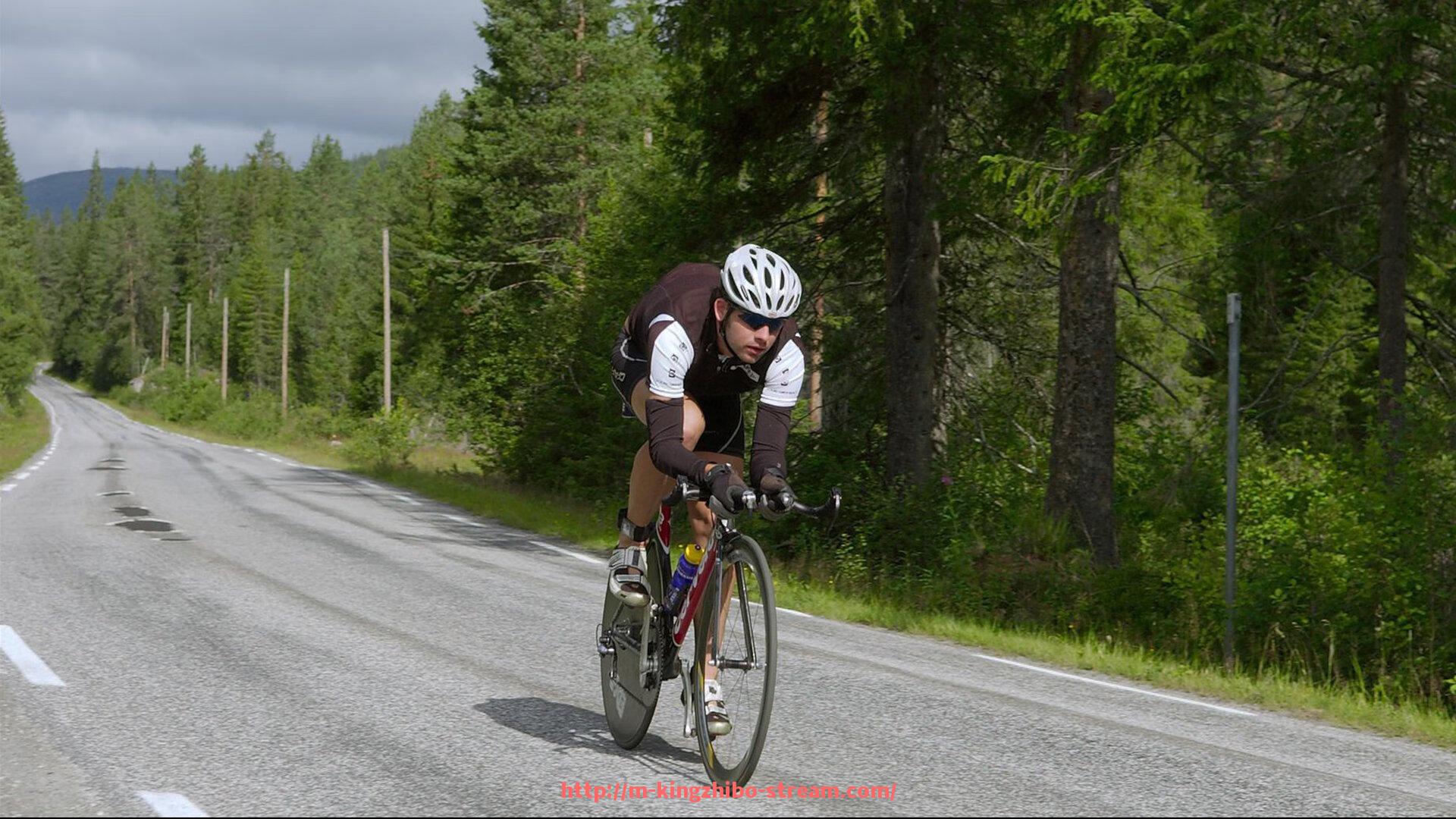 王者体育直播-英超维拉俱乐部现役球员名单及实力介绍