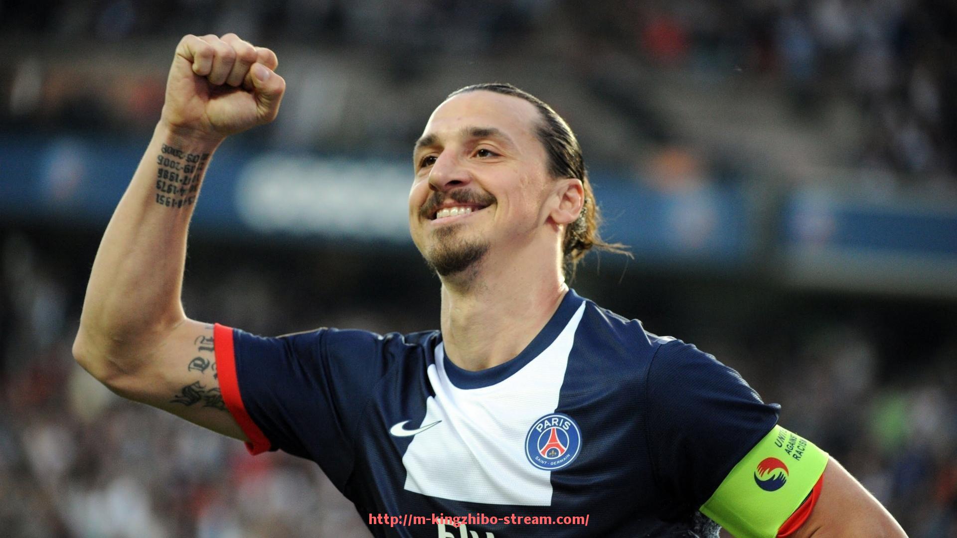 王者体育直播-意甲各队球员名单全面汇总及核心球员介绍